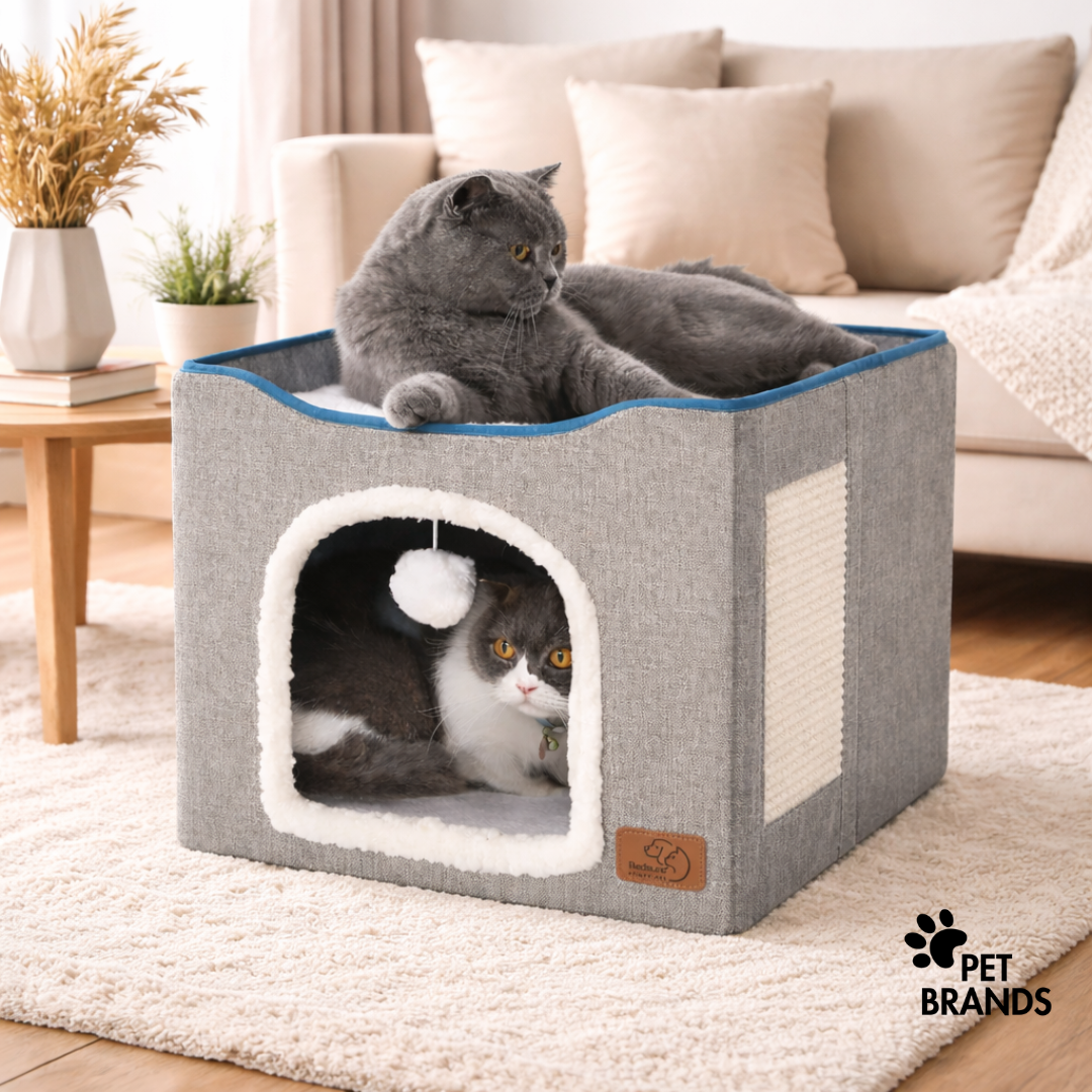 Cómoda Cama Para Gatos Plegable Petbrand Acogedora