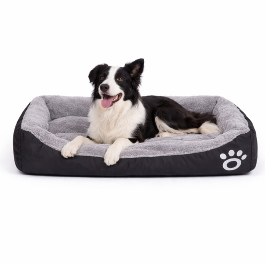 Cómoda Cama Para Perro M 56x72 Colchon Anti Estres Petbrands