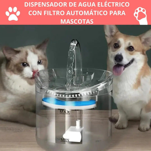 Bebedero Dispensador Agua Automatico Gatos Perros Con Sensor